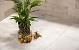 GeoCeramica® 60x60x4 Motion Beige